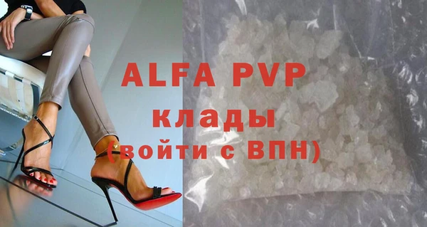 сатива Заводоуковск