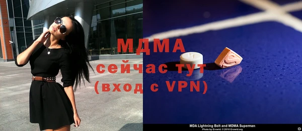 стаф Ельня