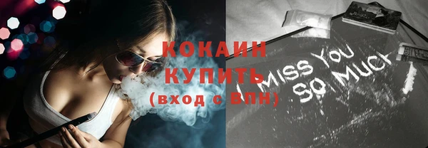 сатива Заводоуковск