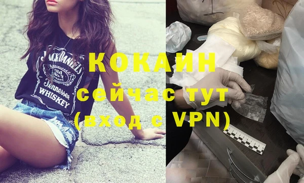 сатива Заводоуковск