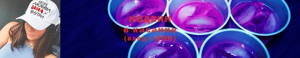 сатива Заводоуковск