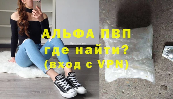 сатива Заводоуковск