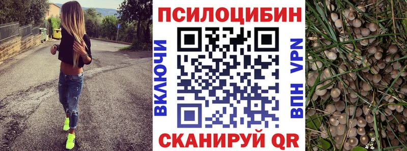 Галлюциногенные грибы GOLDEN TEACHER  Купить где  Лысково 