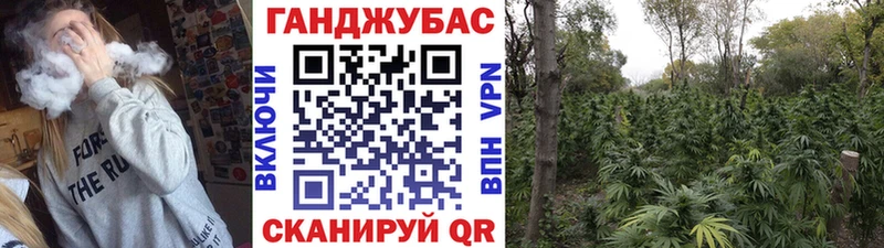 Конопля White Widow  Купить где  Лысково 